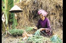 Bà Mẹ Quê