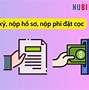 Có Nên Đi Xkld Nhật Bản 2022 Ko ؟ H O N A E