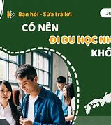 Đi Du Học Có Cần Bằng Đại Học Không