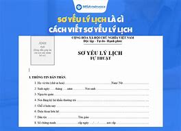 Hồ Sơ Xin Việc Gồm Mấy Bản Sơ Yếu Lý Lịch