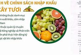 Thủ Tục Xuất Khẩu Nước Ép Trái Cây